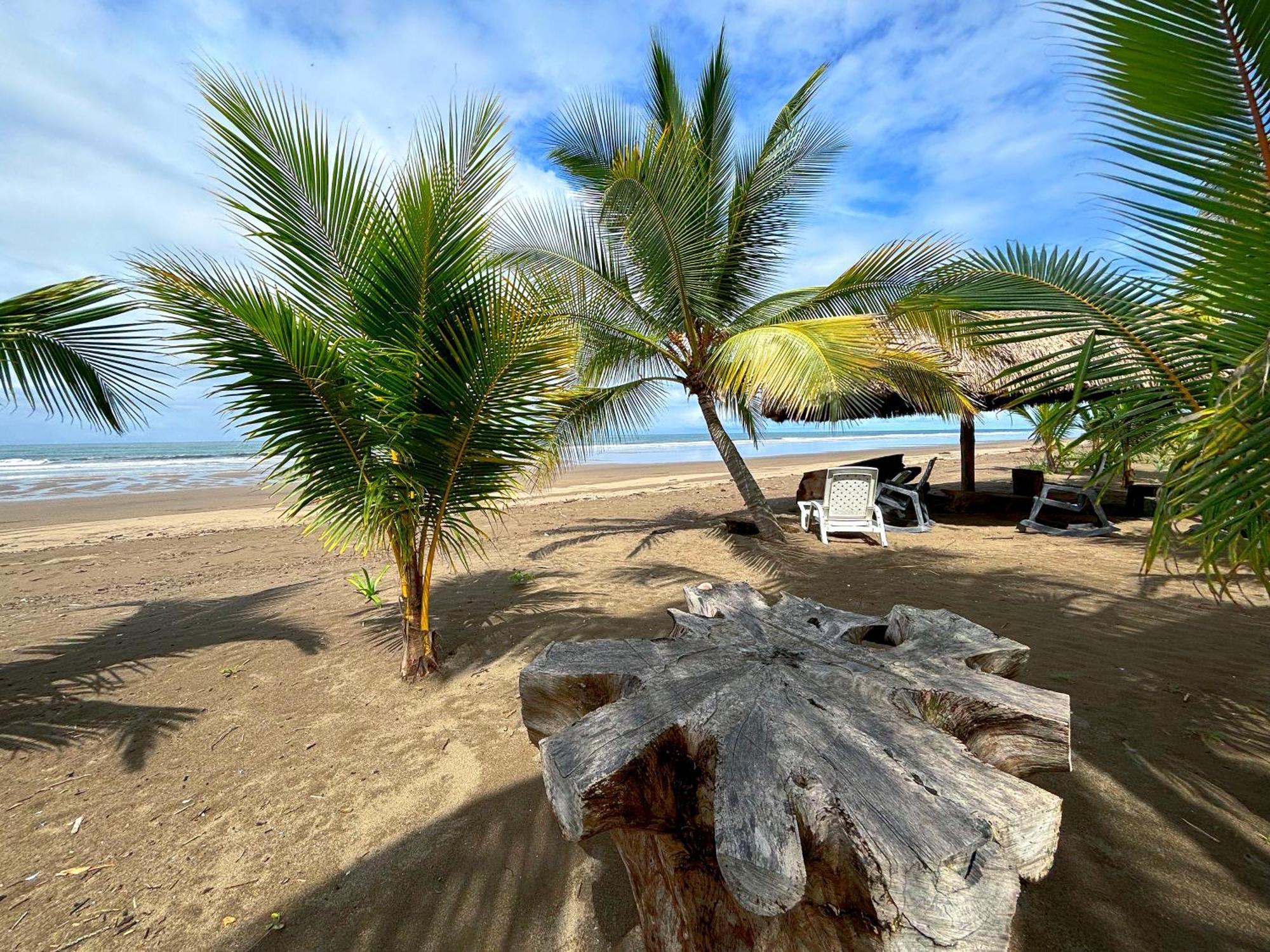 CabreraRoyal Palm Retreat公寓 外观 照片