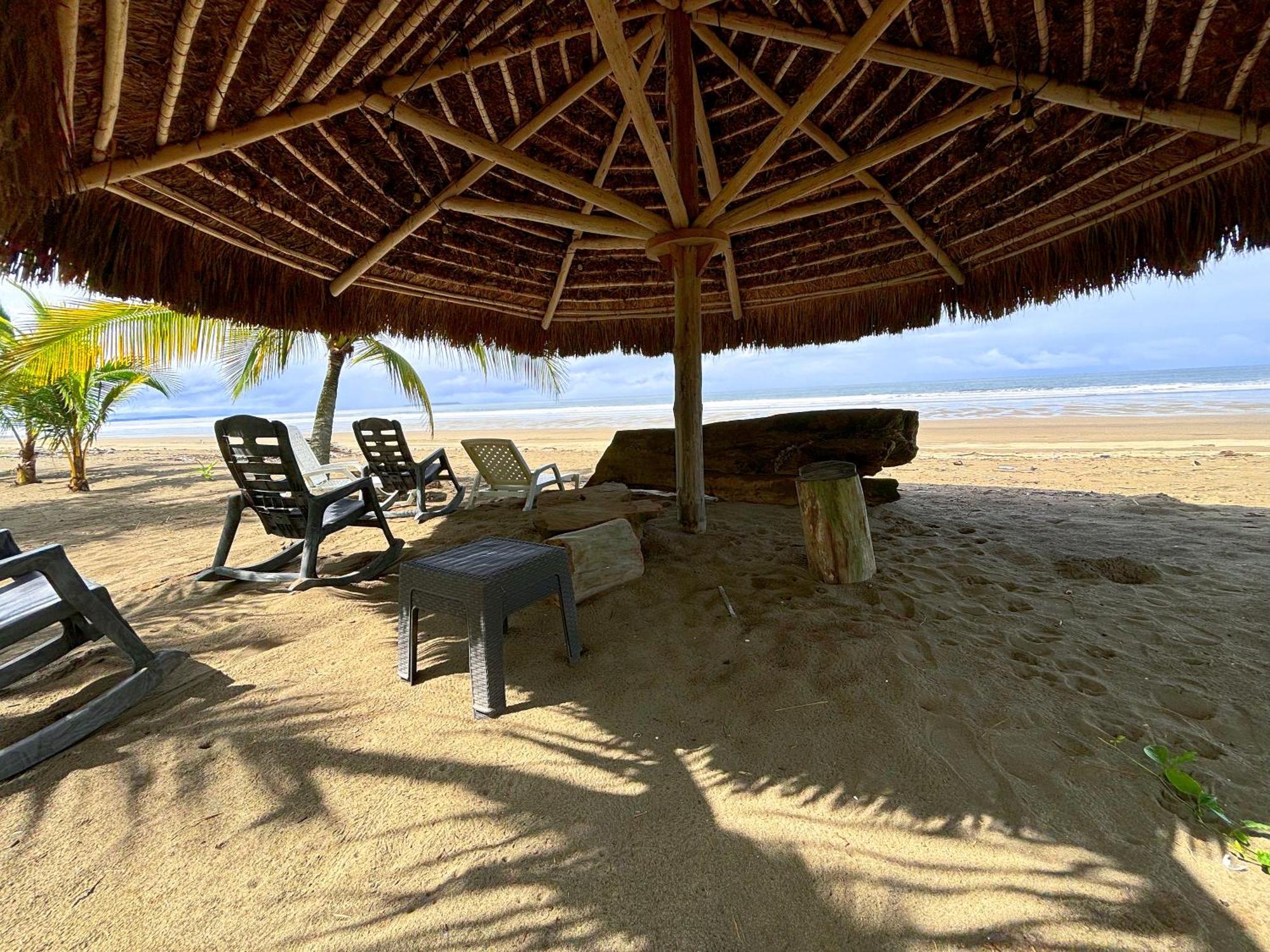 CabreraRoyal Palm Retreat公寓 外观 照片