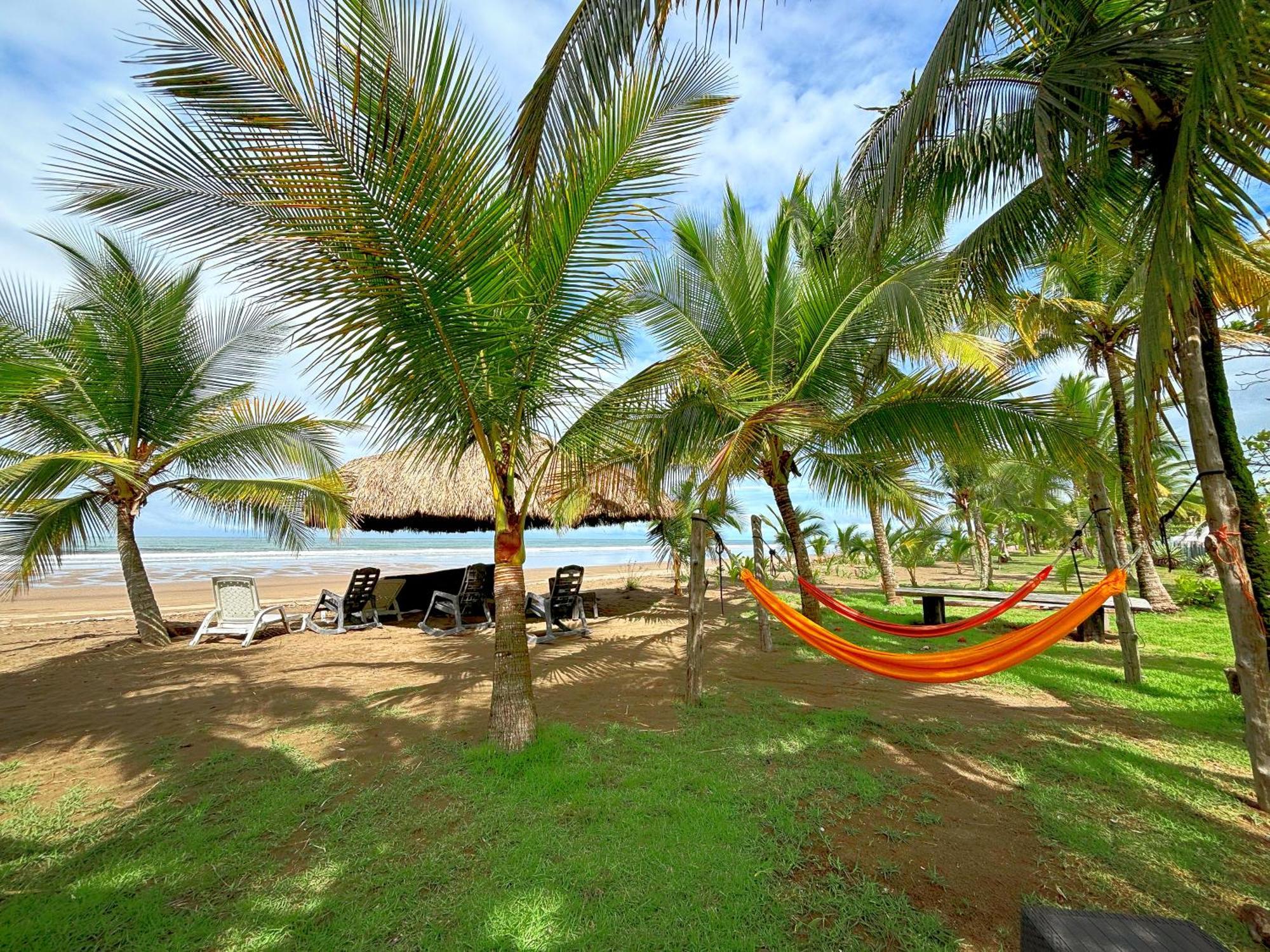 CabreraRoyal Palm Retreat公寓 外观 照片